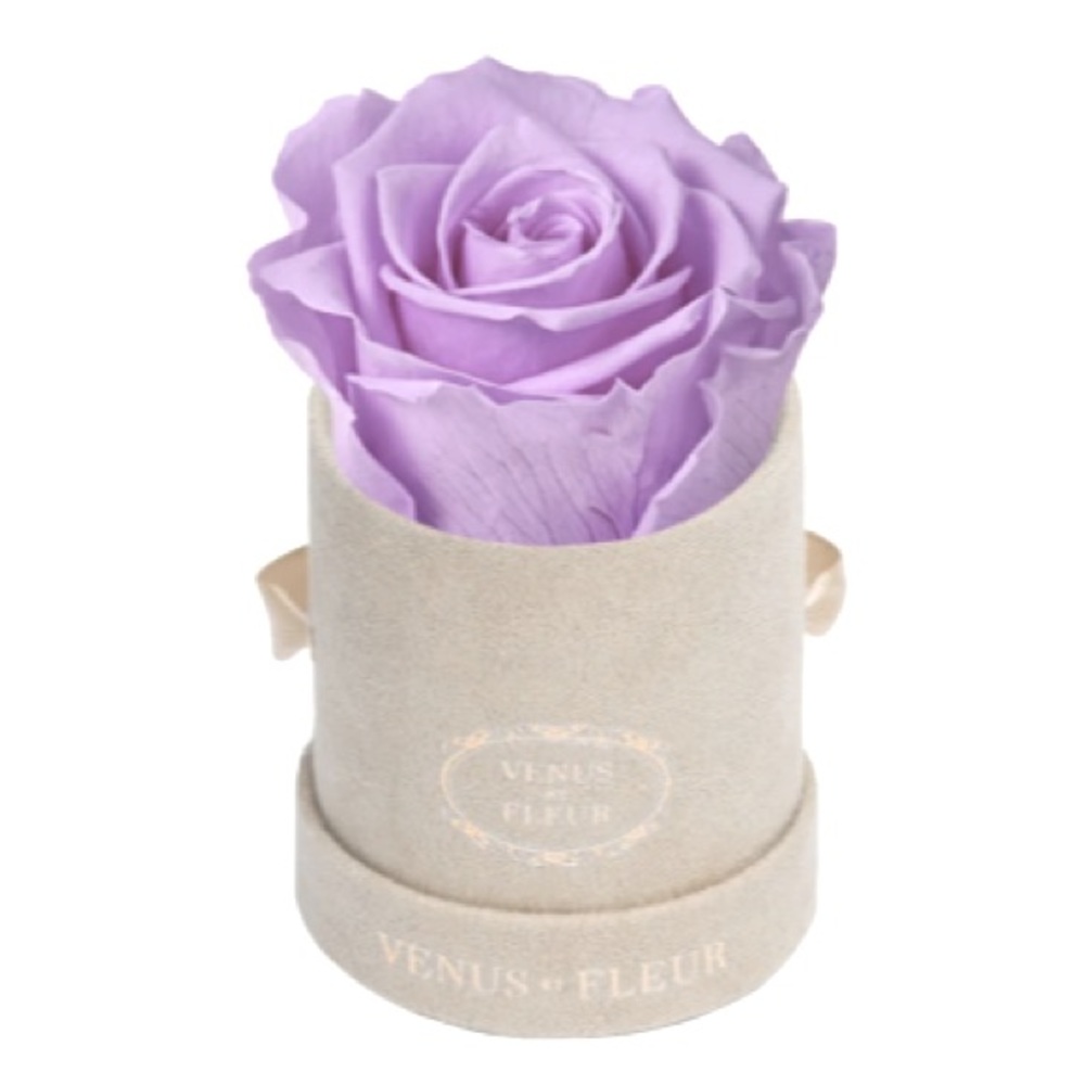 venus et fleur forever roses Le Mini in grey suede round LILAC